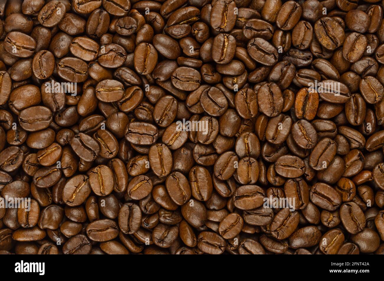 Roasted coffee beans, background, from above. Dark brown, roasted seeds of berries from Coffea arabica, also known as Arabian or arabica coffee. Stock Photo