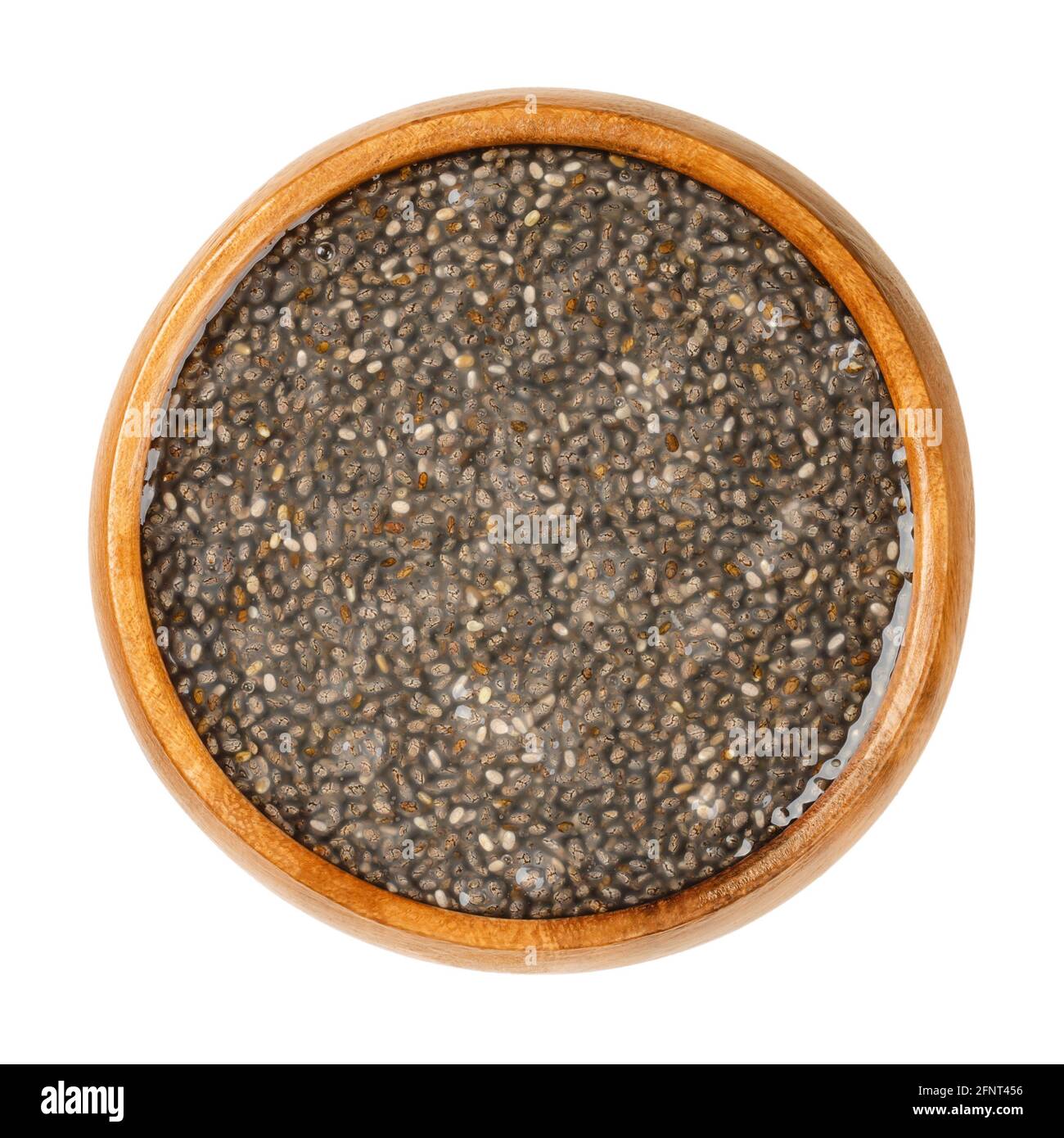 Raw chia seeds, soaked in water, in a wooden bowl. Fruits of Salvia hispanica, very hygroscopic, absorbing twelve times their weight. Stock Photo