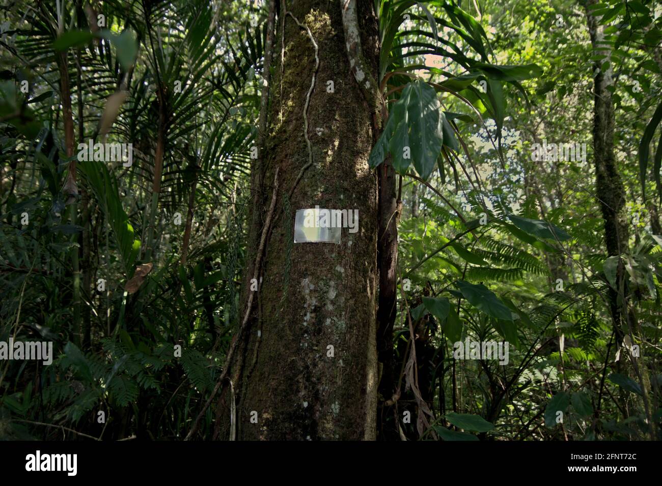 A Question Mark On Information Plate To Be Used In Environmental Knowledge Quiz Trivia During Ecotourism Trips In Mount Gede Pangrango National Park West Java Indonesia The Reforestation Project Workers Gave Some Farmers