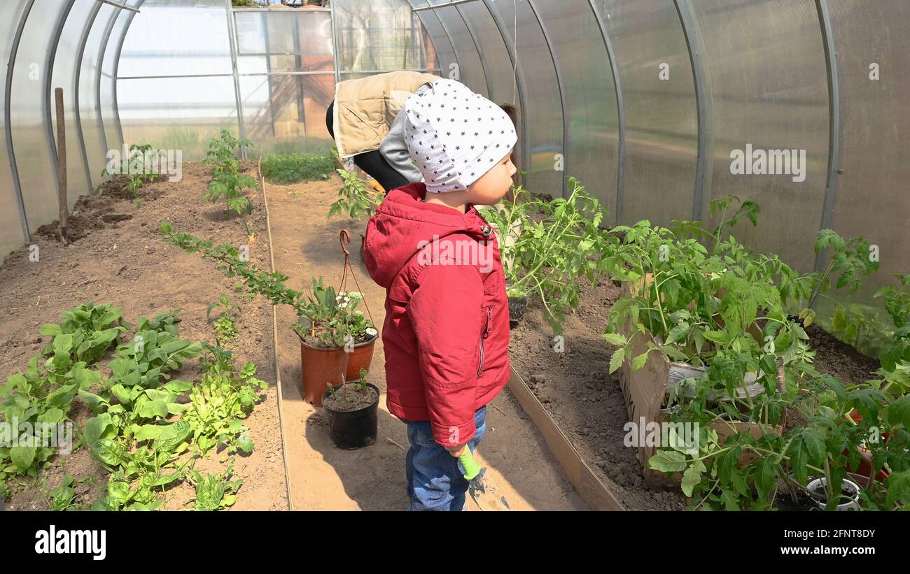Child in a greenhouse with plants Stock Photo Alamy
