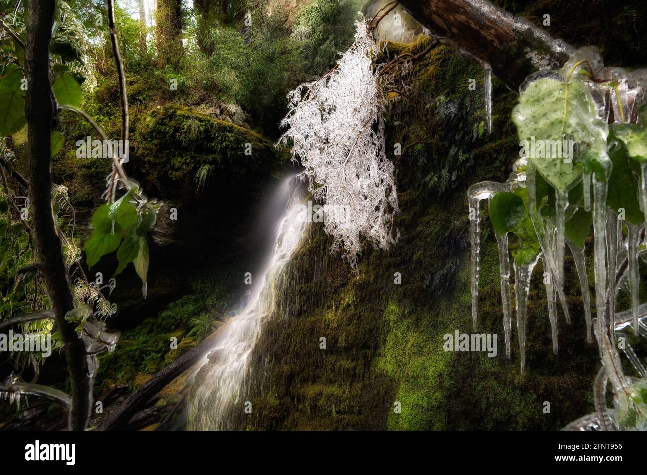 Frozen waterfalls in paradise, South Island, New Zealand Stock Photo