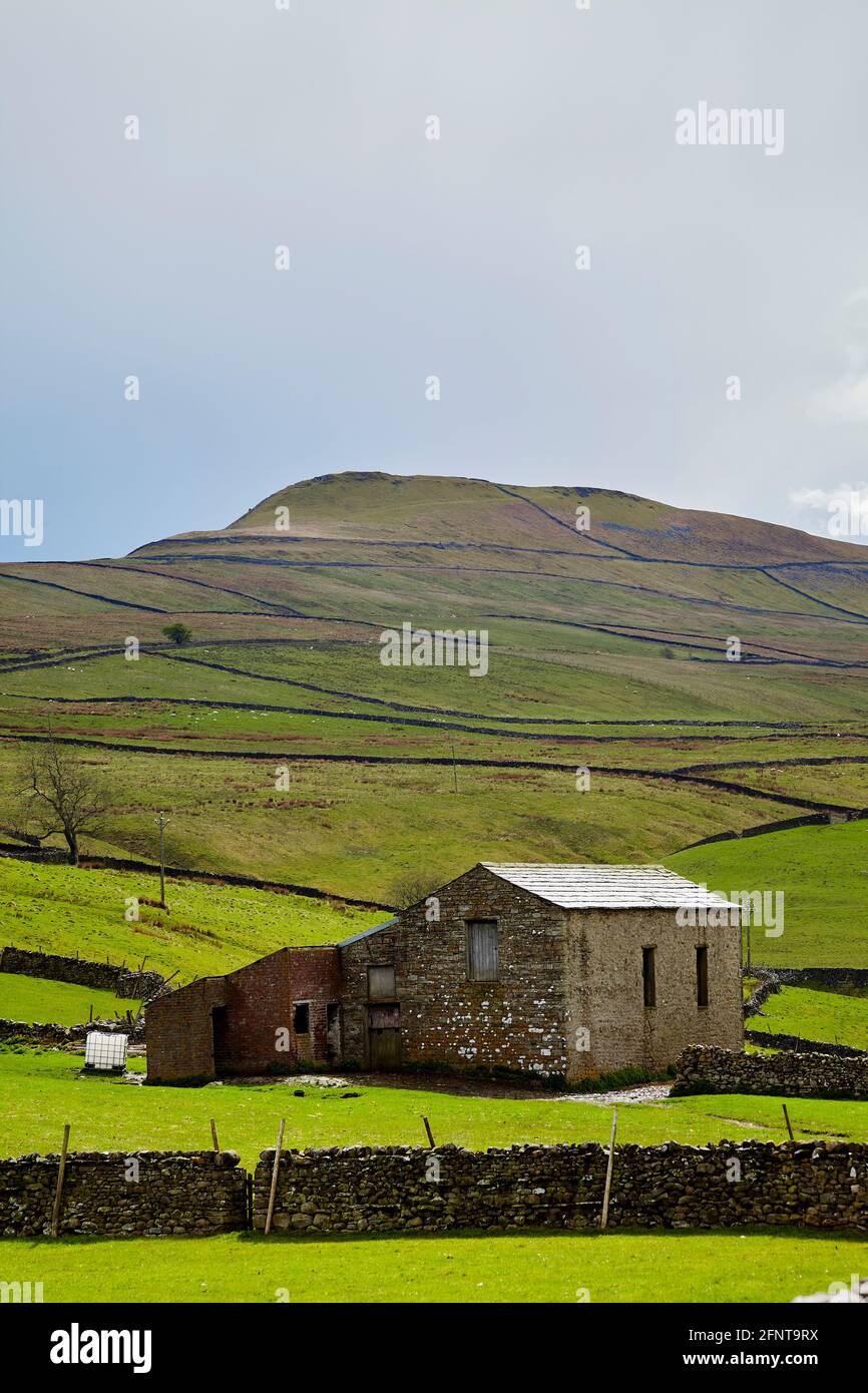 Stone barn, fields and fell. Yorkshire Dales. Stock Photo
