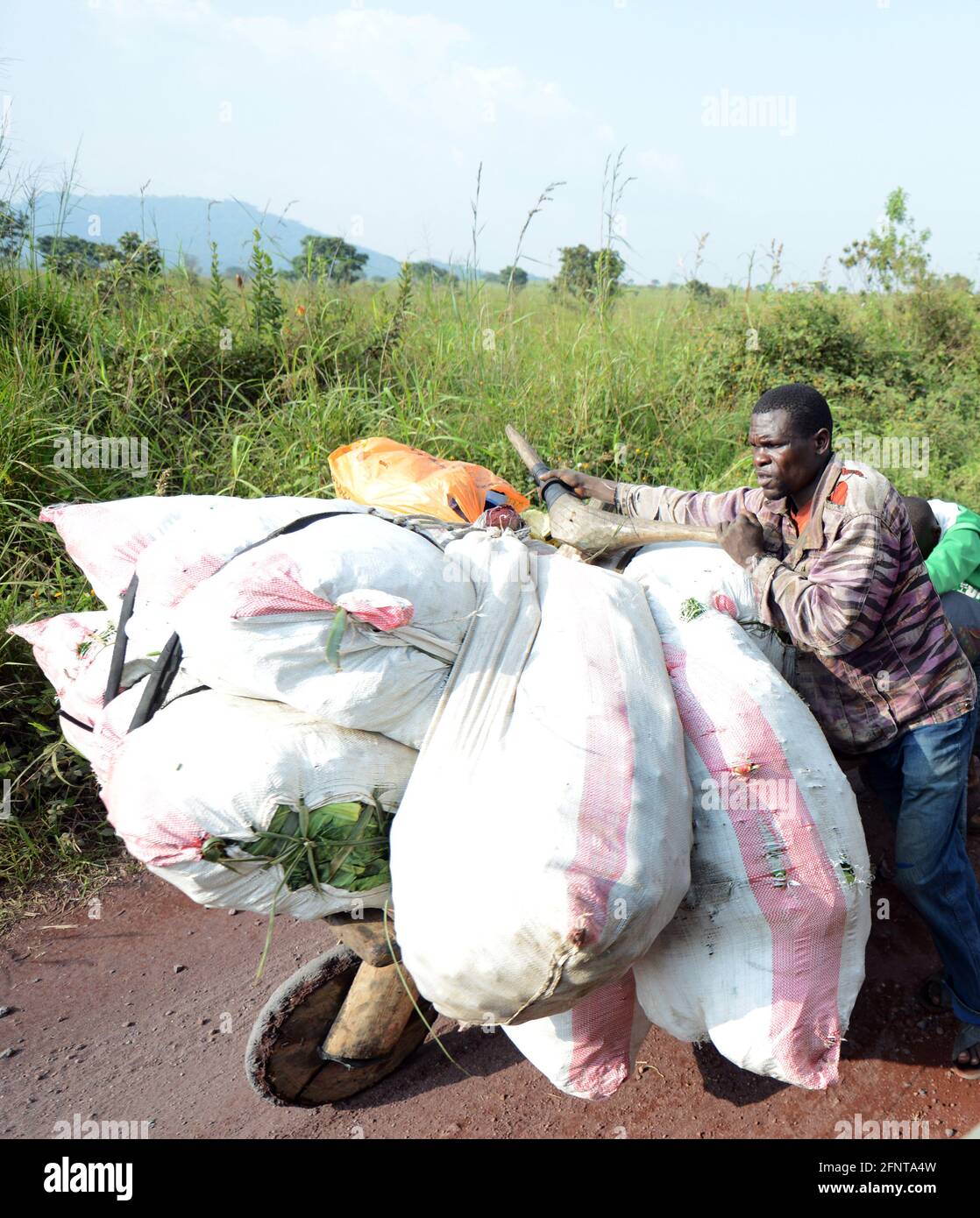 A Congolese man carrying bags of fresh produce on his Chukudu scooter. Stock Photo