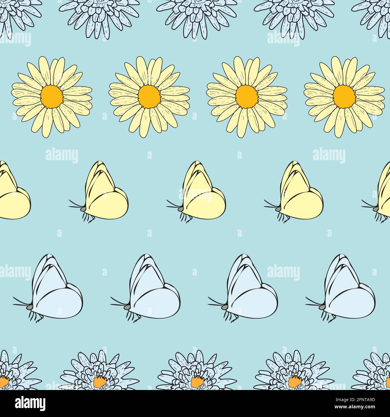 Vector white background daisy flowers, wild flowers and butterflies ...
