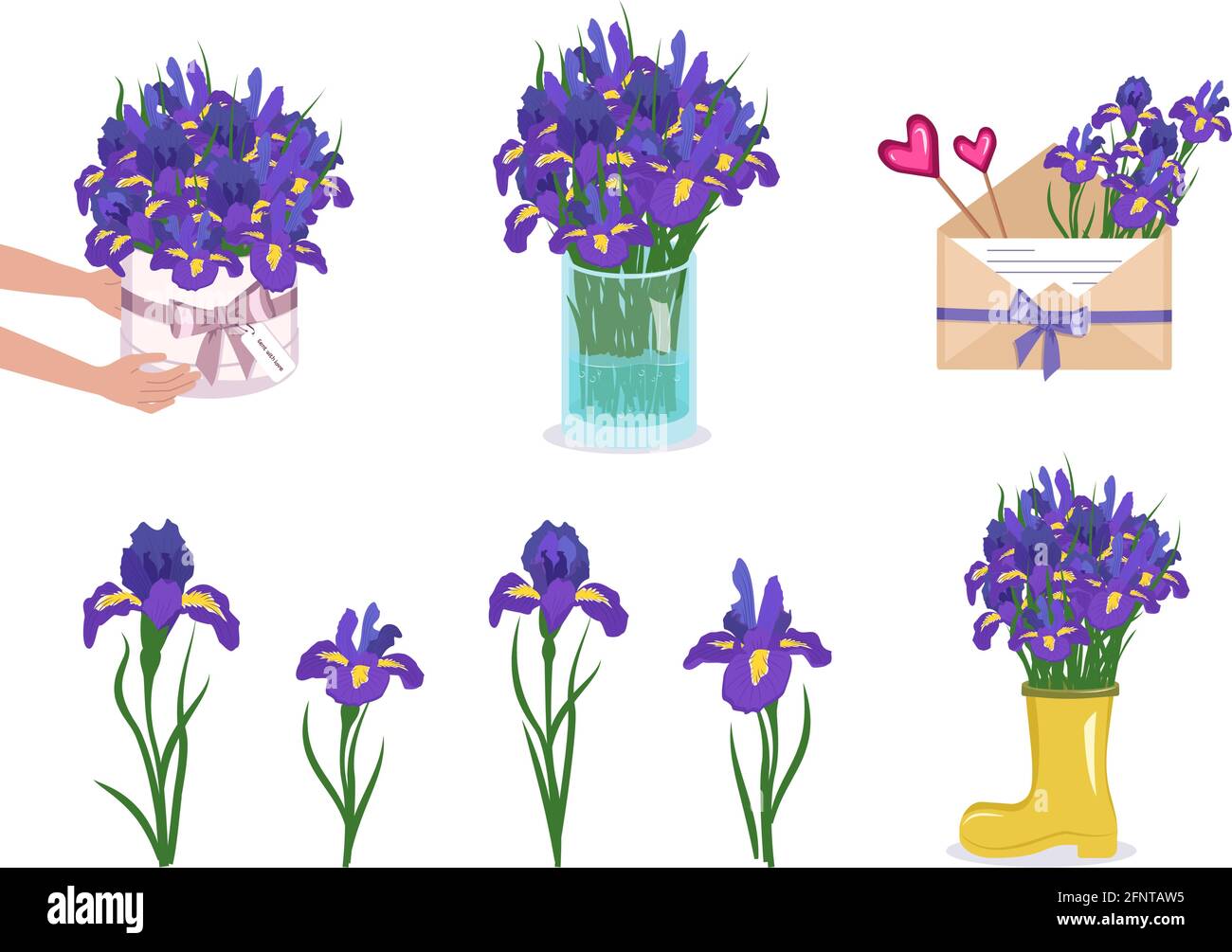 Iris flowers in vase Stock Vector Images Alamy