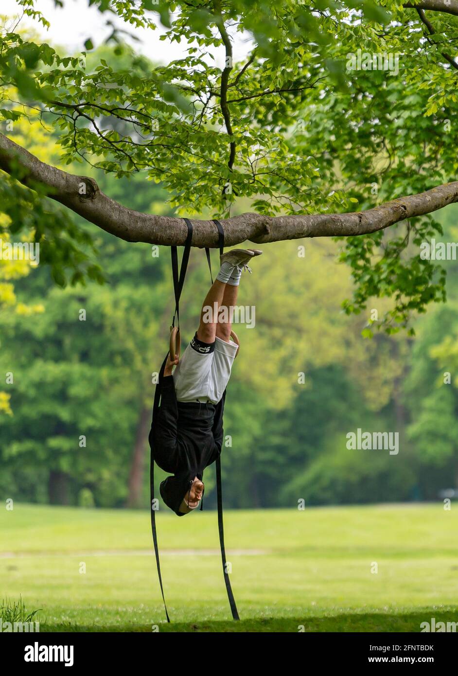 Munich, Germany. 19th May, 2021. Calisthenics trainer Alexander Wujkov  hangs with his gymnastic rings from a long tree branch in the English  Garden. Credit: Peter Kneffel/dpa/Alamy Live News Stock Photo - Alamy