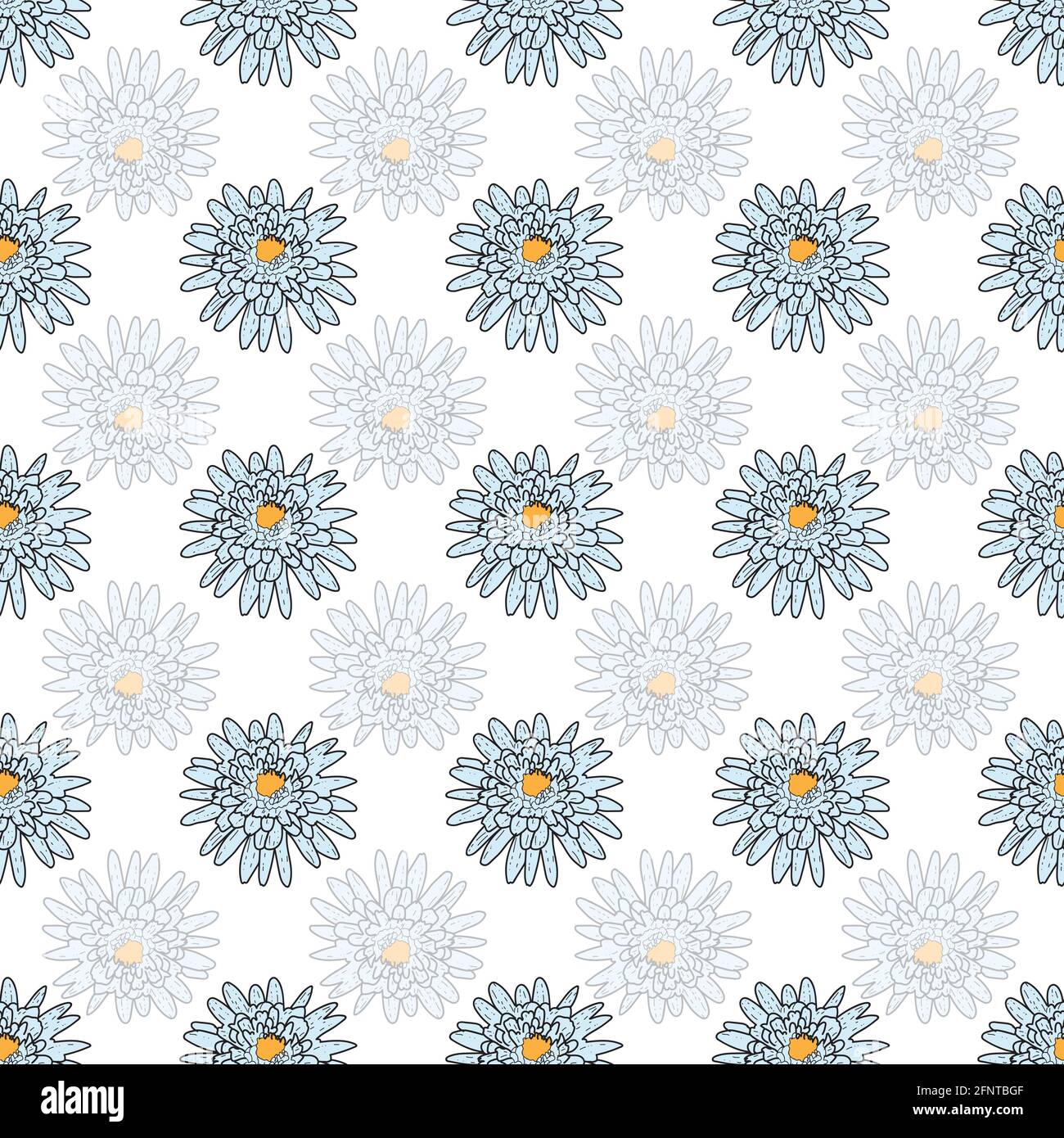 Vector white background daisy flowers, wild flowers and butterflies ...