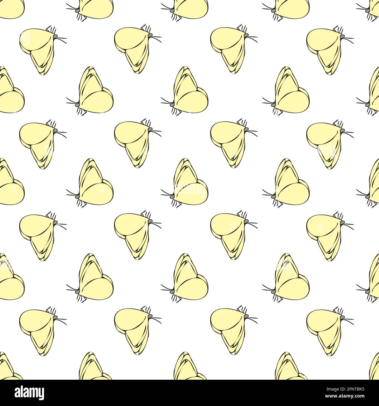 Vector white background daisy flowers, wild flowers and butterflies ...