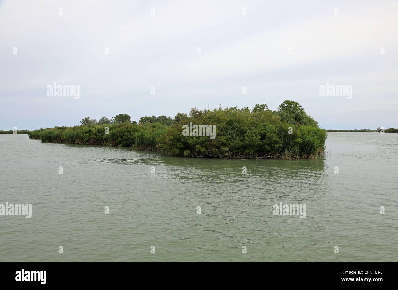 Islet Means small islet with vegetation on the mouth of the great river Po near the ...