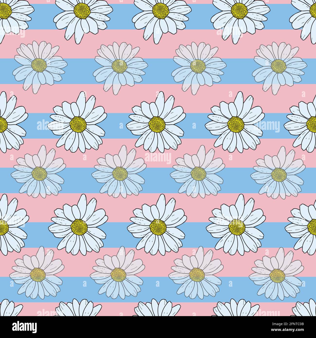 Vector pastel pink background daisy flowers, wild flowers and ...