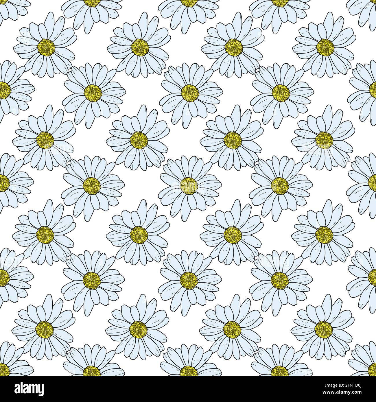 Vector white background daisy flowers, wild flowers and butterflies ...