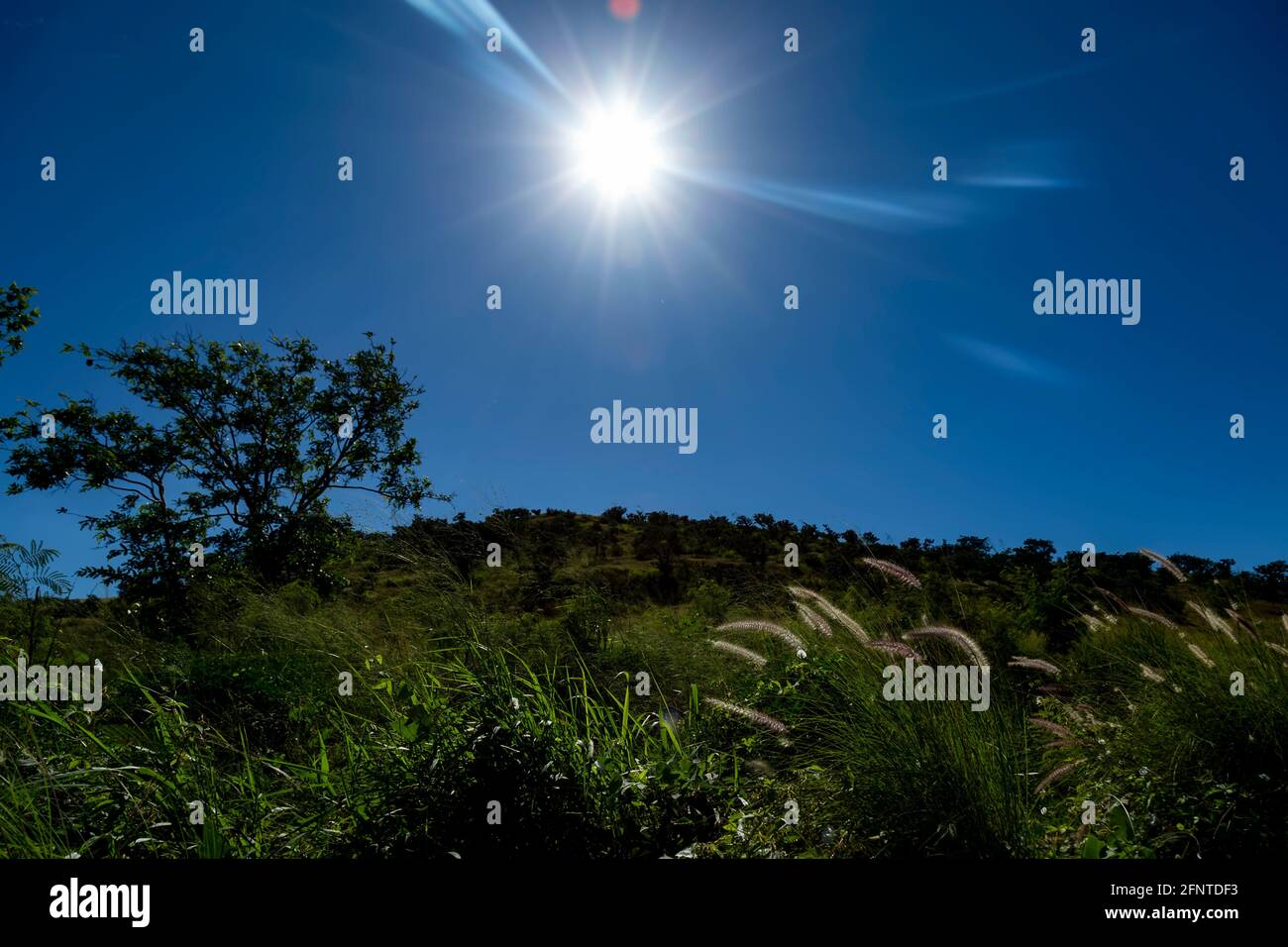 sun and clouds over the hill in the morning. Stock Photo