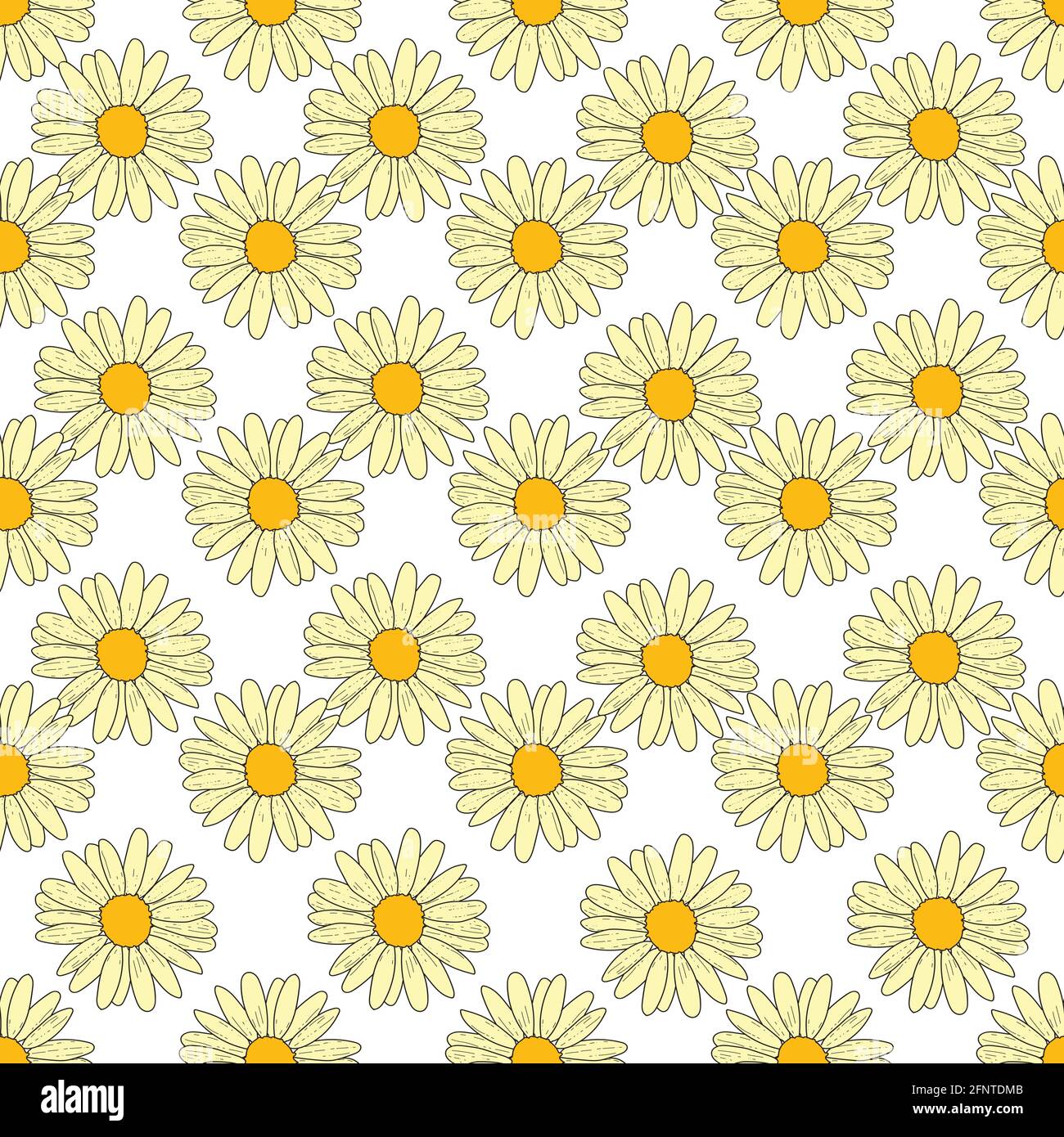 Vector white background daisy flowers, wild flowers and butterflies ...