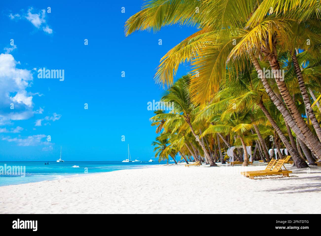 Vacation summer holidays background wallpaper - sunny tropical Caribbean paradise  beach with white sand in Seychelles Praslin island Thailand style wi Stock  Photo - Alamy