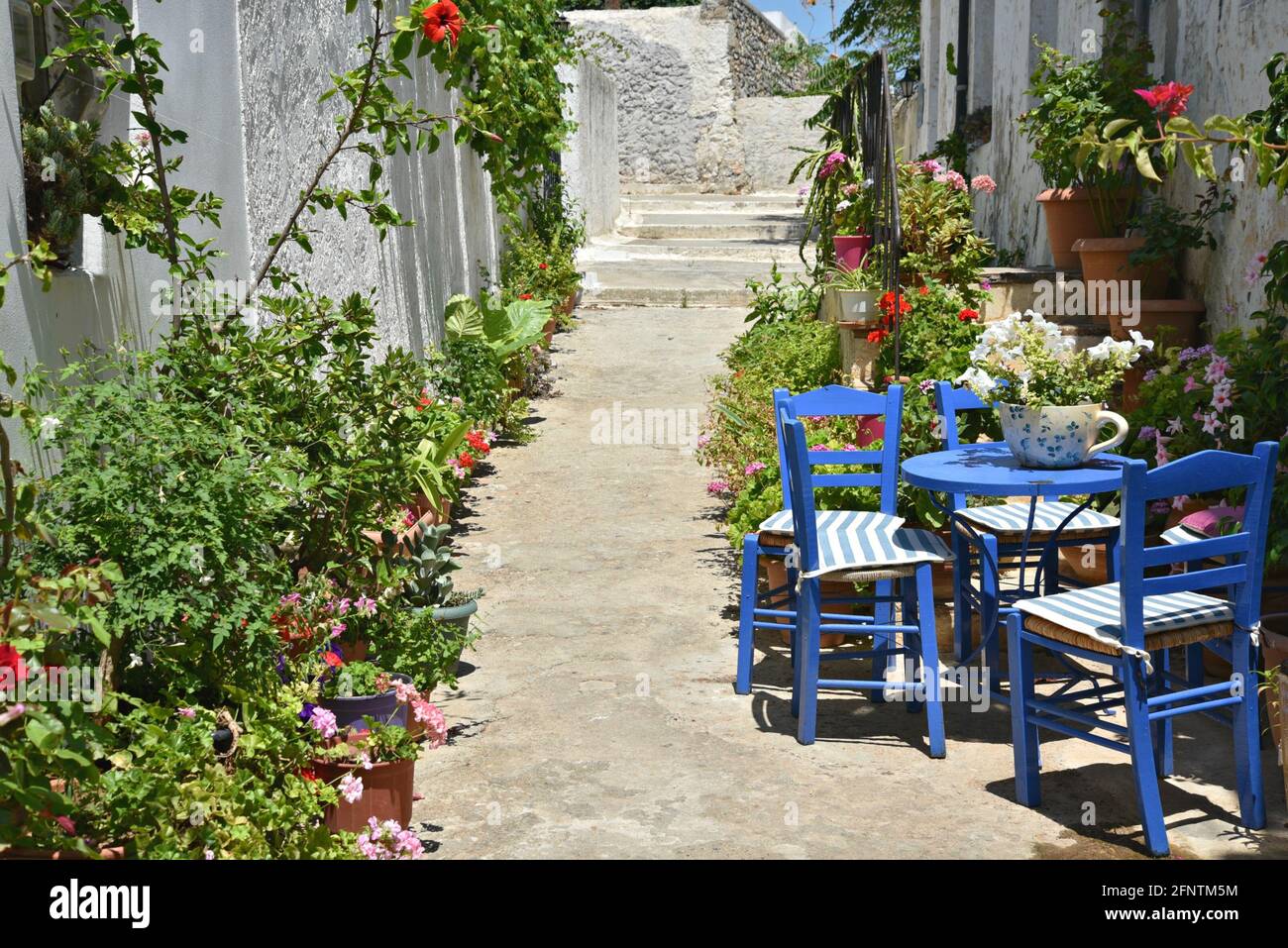 Traditional rural house patio with stone steps, blue wooden furniture and  clay pots with flowers in Chora, the capital of Kythira island Attica  Greece Stock Photo - Alamy