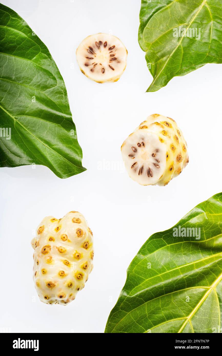 Noni fruit with medicinal, antiinflammatory and antioxidant properties