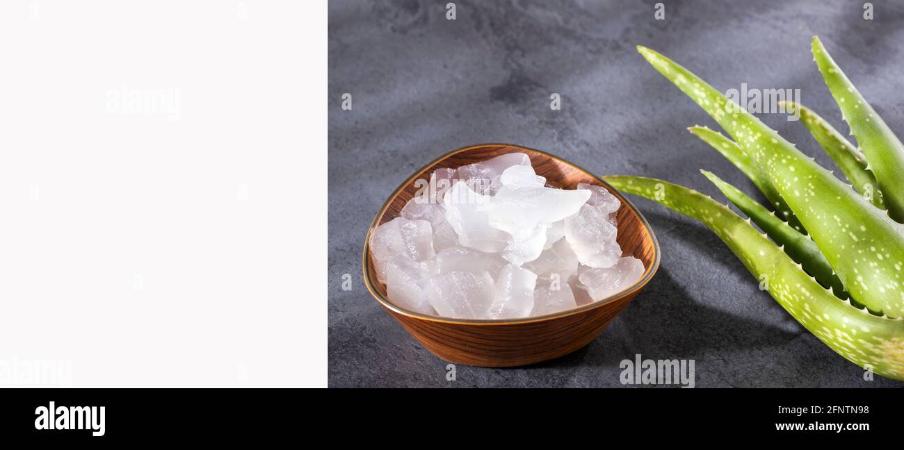 Fresh aloe vera leaves, this plant is rich in vitamins, minerals and ...