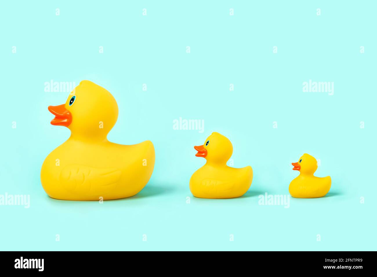 Rubber bath duck and rubber bath ducklings on a blue background