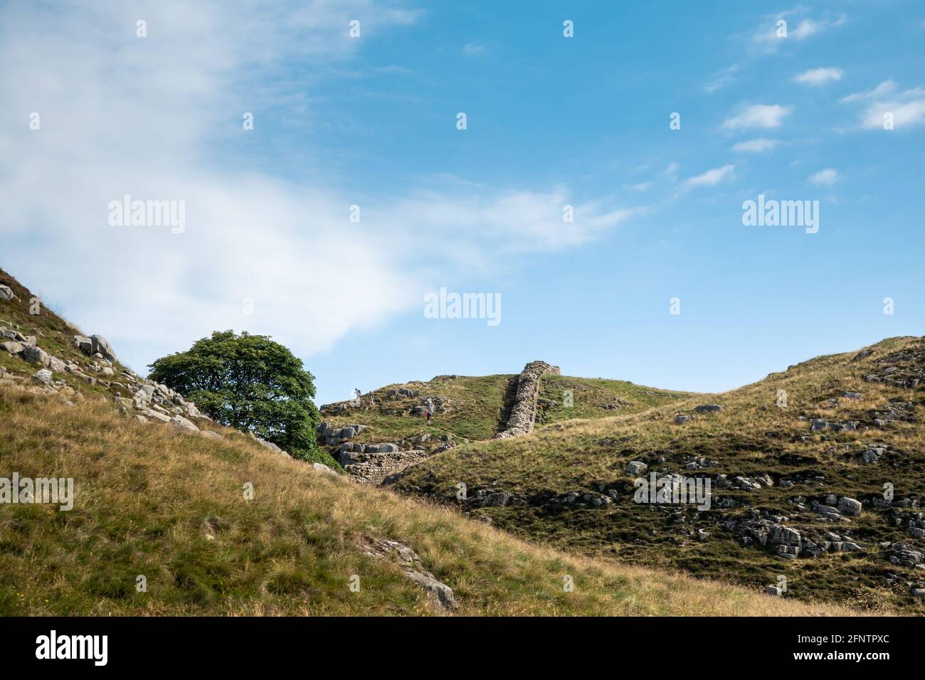 Northumberland UK: Hadrians Wall built on tall cliffs (Roman Wall) on a sunny summer day in English countryside Stock Photo