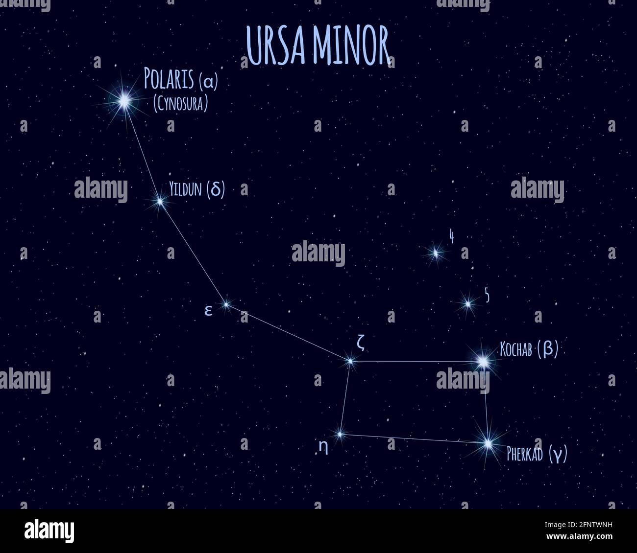 Ursa Minor (Little Bear, Little Dipper) constellation, vector illustration with the names of basic stars against the starry sky Stock Vector