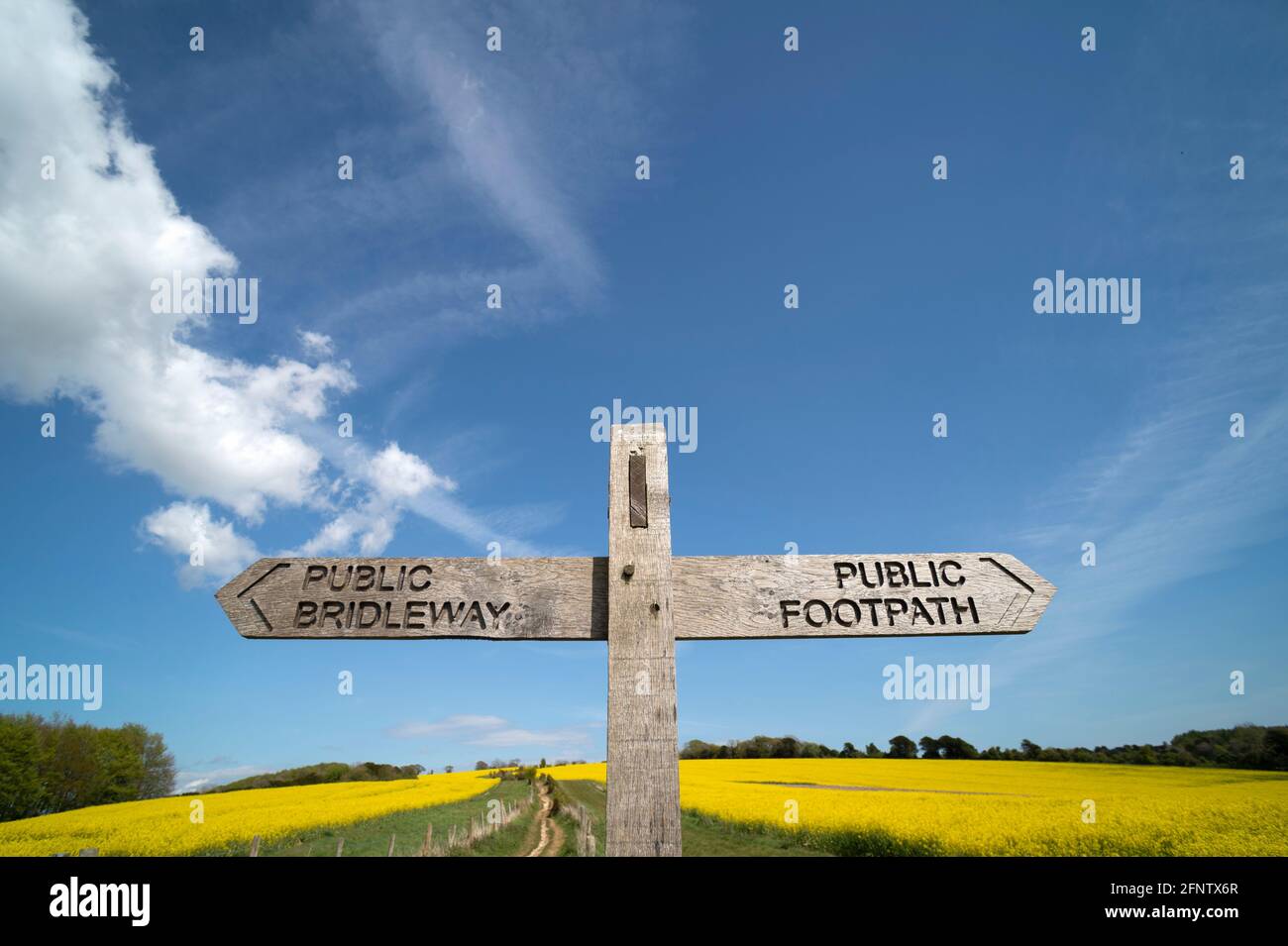 Public footpath and public bridalway sign on a wooden post in the countryside with a blue sky. Stock Photo