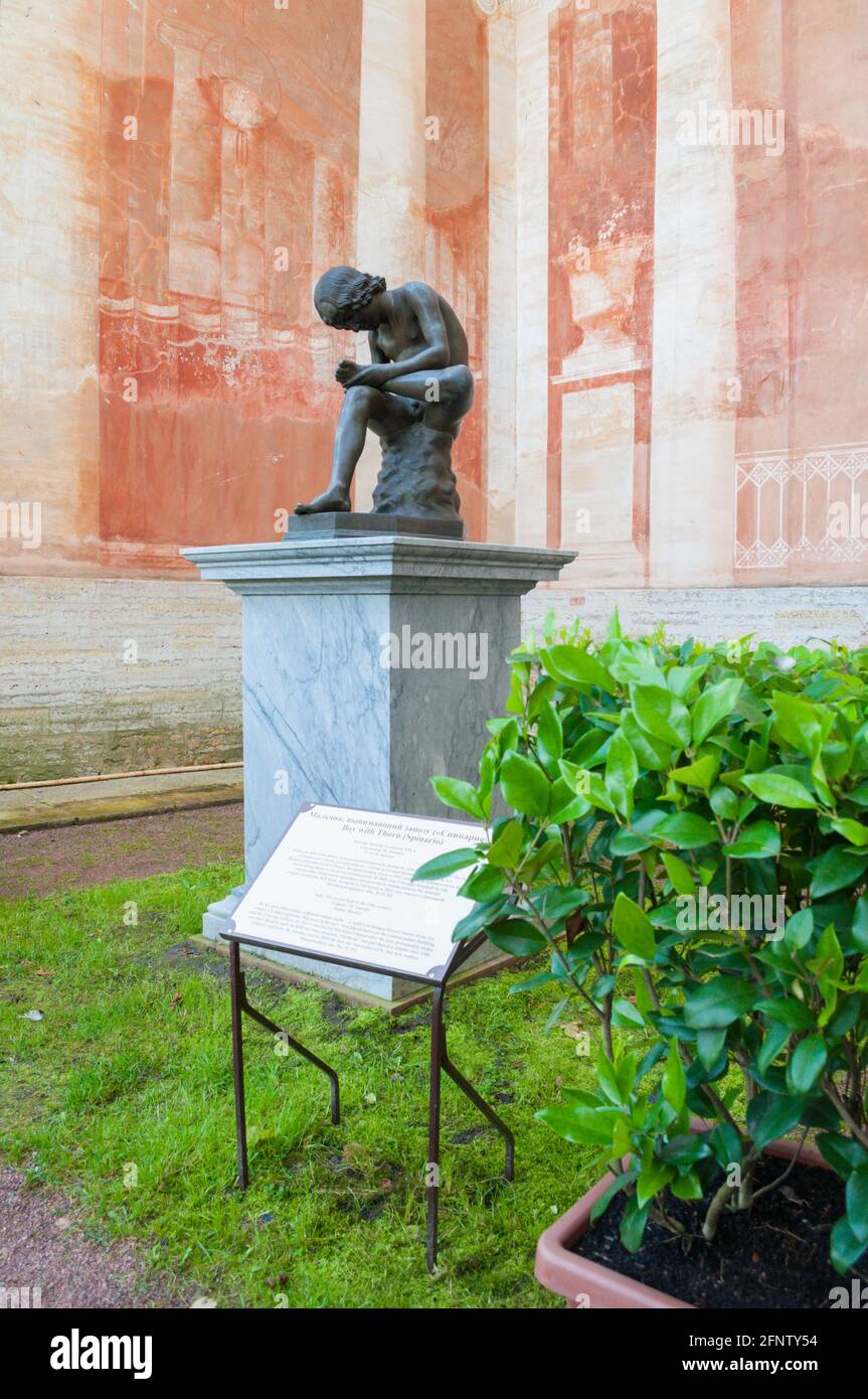 Splinter 21 hi-res stock photography and images - Alamy