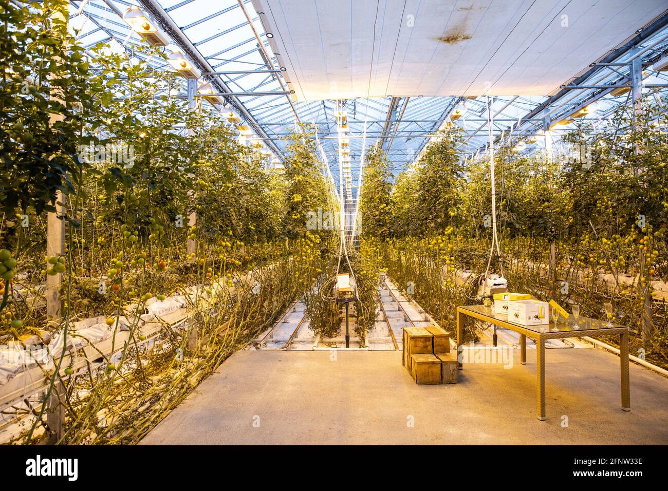 hi tech irrigation islandia