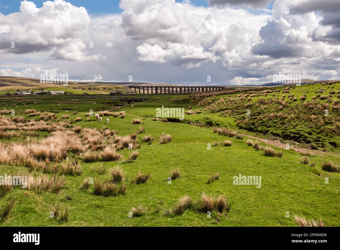 Ribblehead freight train hi-res stock photography and images - Alamy