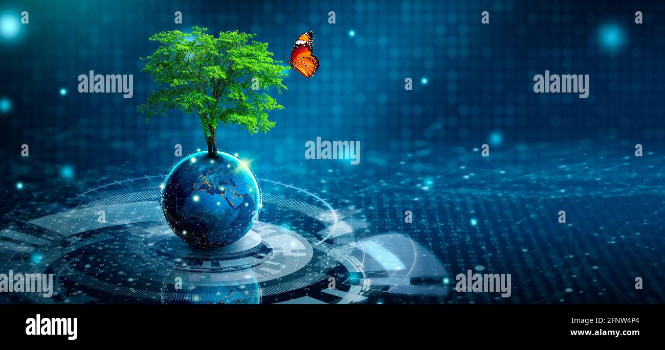 Tree growing on Earth with abstract blue background. Environmental Technology, Earth day, Energy saving, Environmentally friendly, csr, and IT ethics. Stock Photo