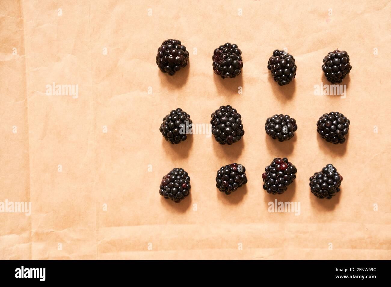 Twelve blackberries on a beige craft paper background. Berries laid out in the form of a rectangle. Horizontal card with copy space. Healthy, delicious, natural vegetarian background. Stock Photo