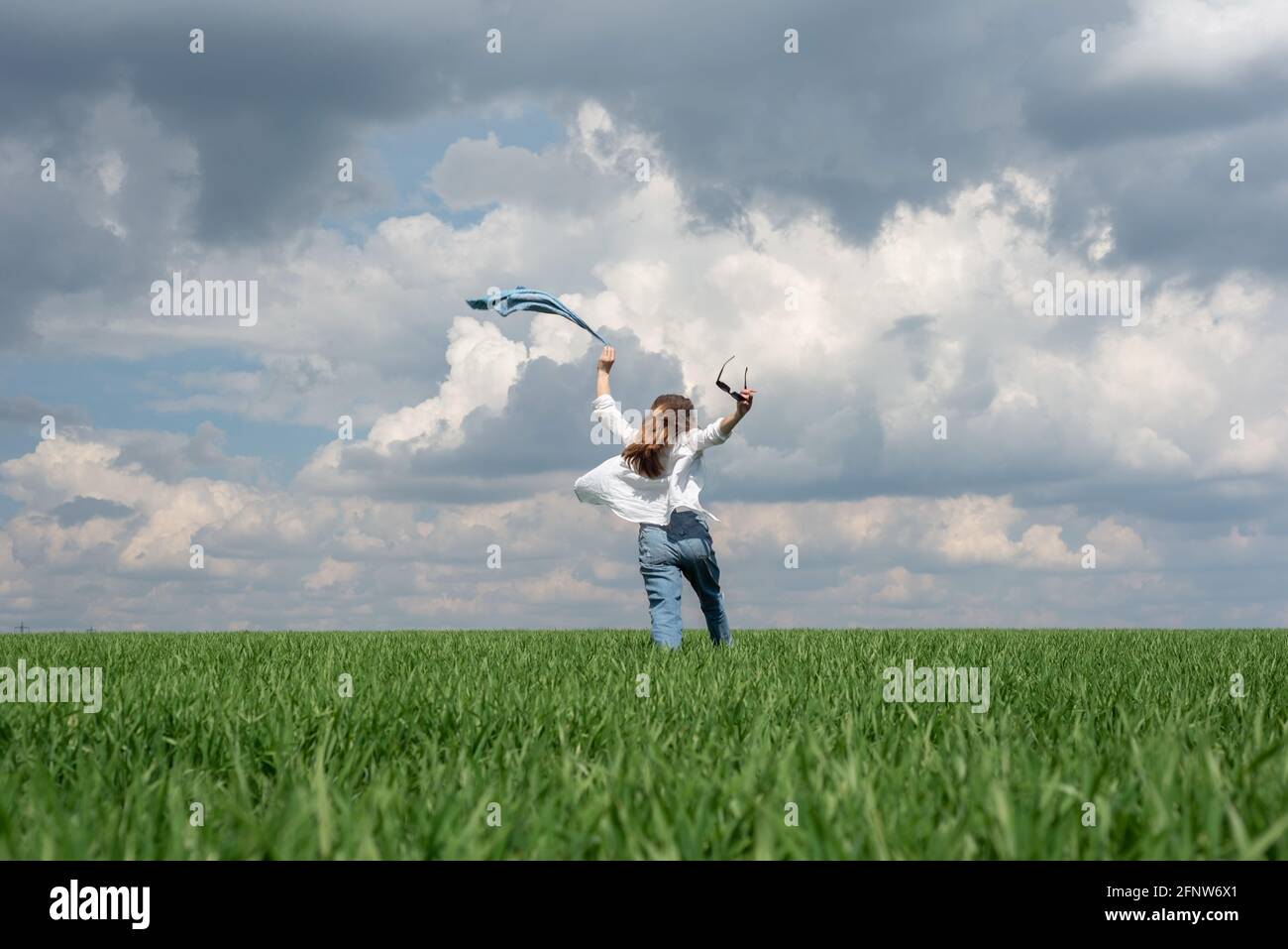 Солнце и растения. Стейблкоин beanstalk. Большой бобовый стебель. Почему деревья не растут до неба. Джек и бобовое зернышко.