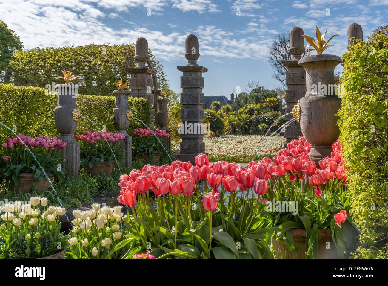 Once a year around May, Arundel Castle in West Sussex, hosts the Tulip festival where you can see approximately 60,000 tulips in the stunning gardens. Stock Photo