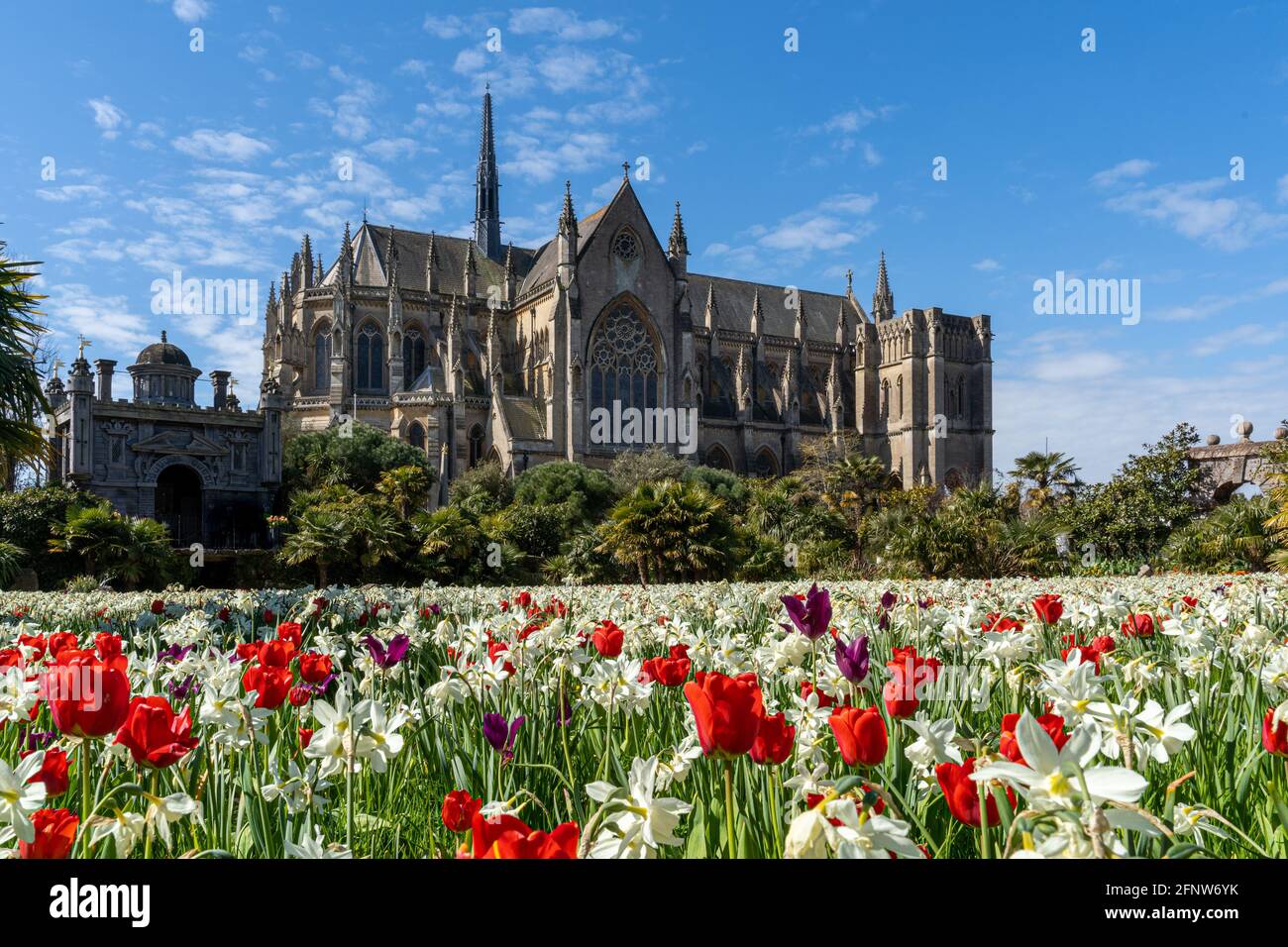 Arundel Cathedral of Our Lady & St Philip Howard with a carpet of tulips in front it at the annual Arundel Castle Tulip festival. Stock Photo