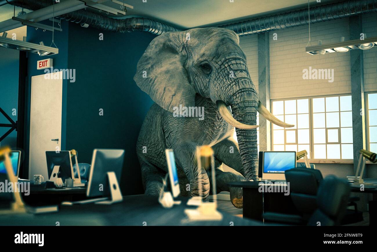 elephant sitting inside an office. concept of unsolved problems. 3d render. Stock Photo