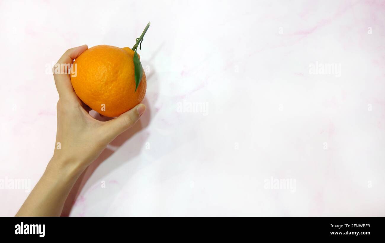 Hand holding a mandarin orange, with pink background and copy space on the right. Stock Photo