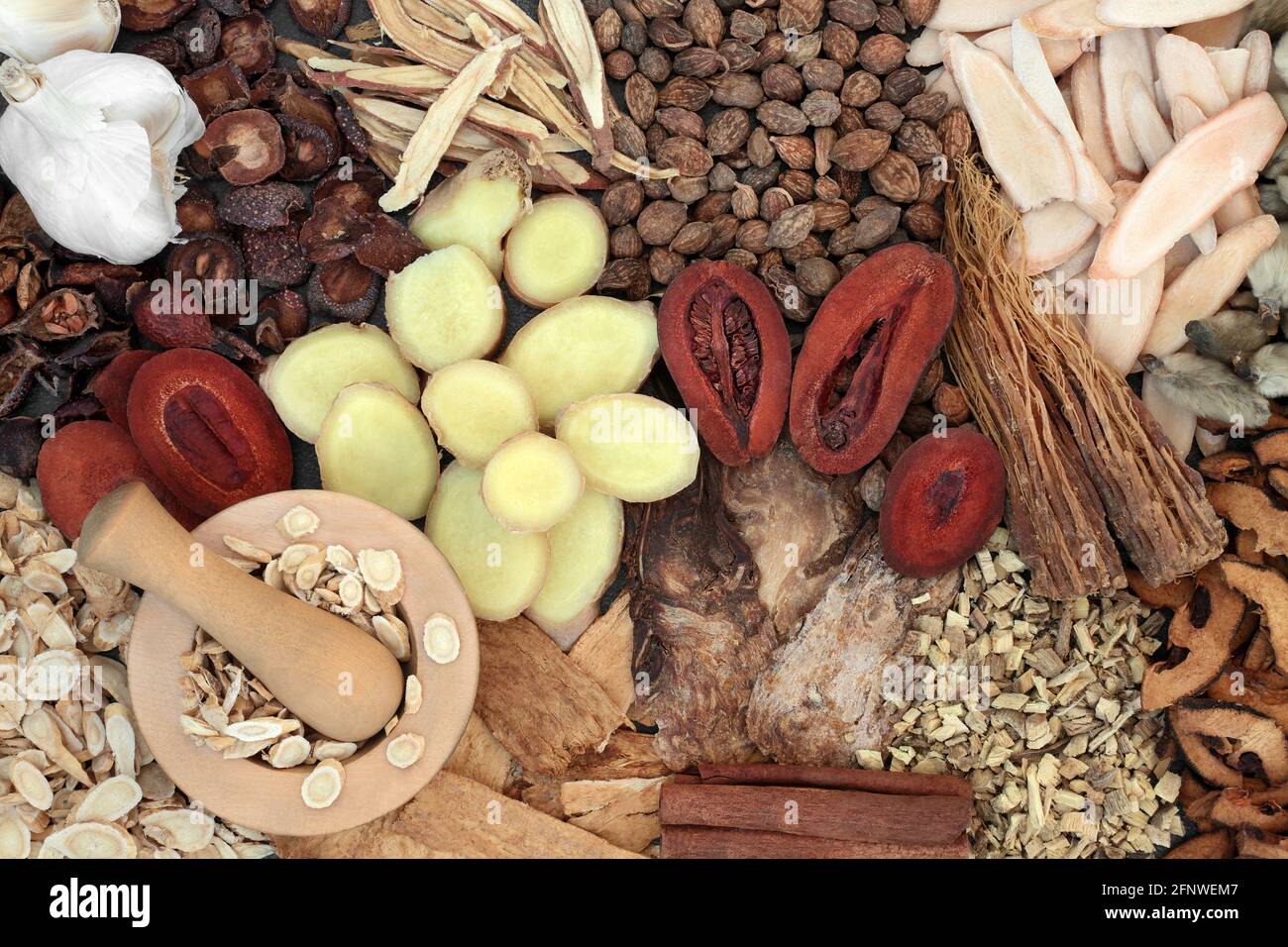 Traditional Chinese herbs for cold & flu virus remedy with astragalus in a mortar with pestle. Stock Photo