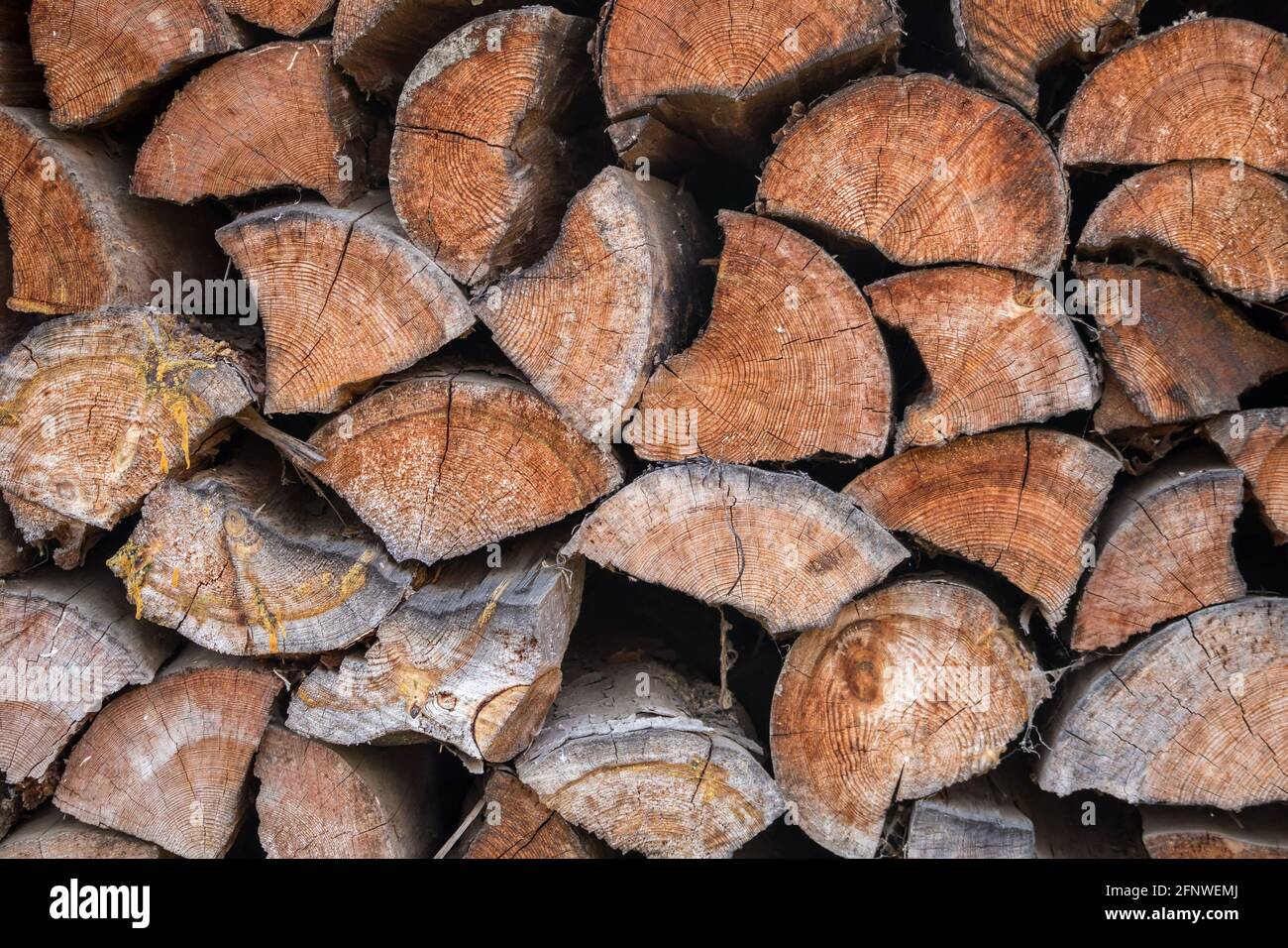 stacked firewood - texture background of wood logs Stock Photo