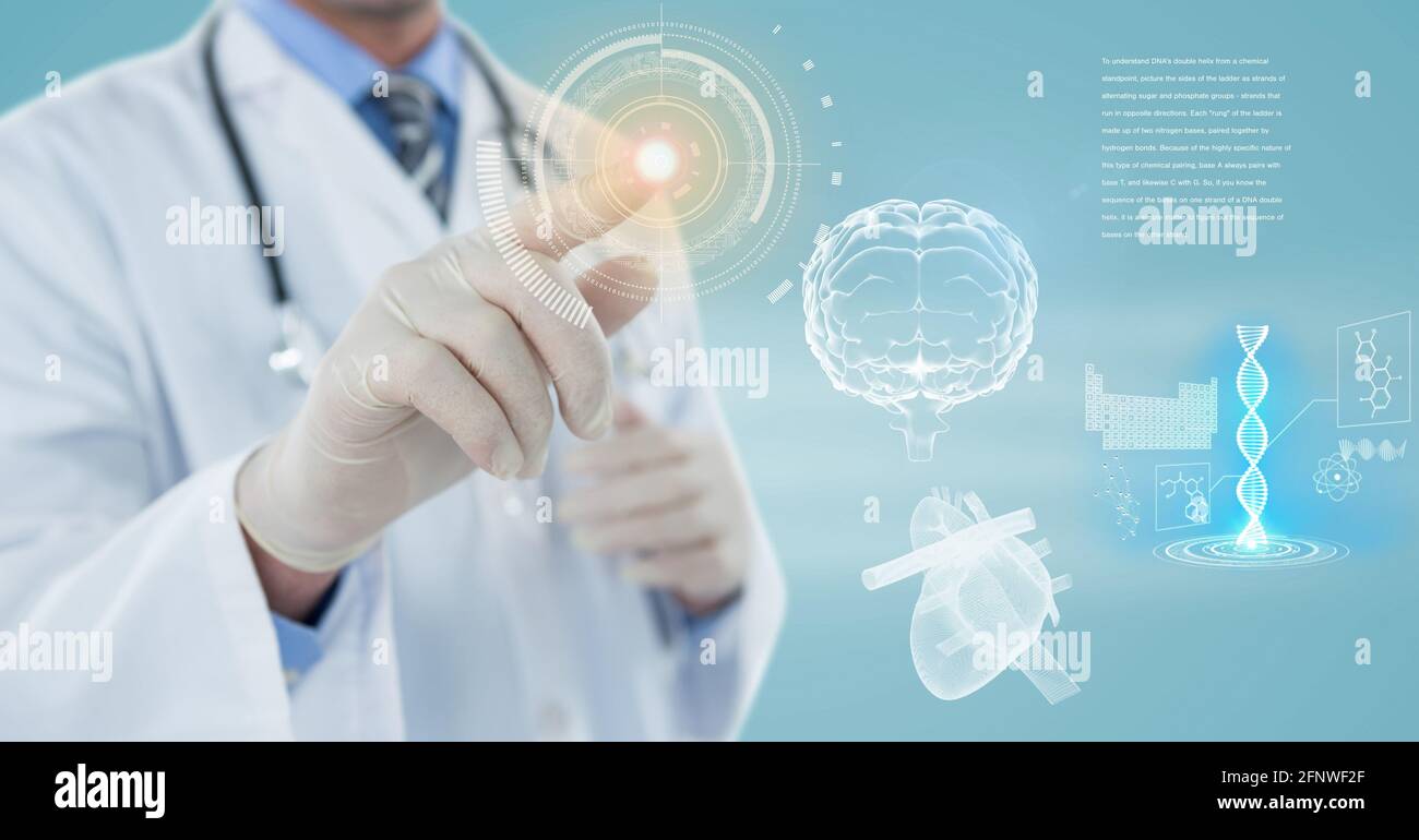 Composition of male doctor touching screen with human brain and medical data processing Stock Photo