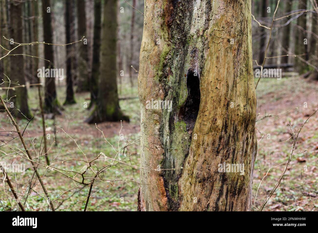 Hollow circle hires stock photography and images Alamy