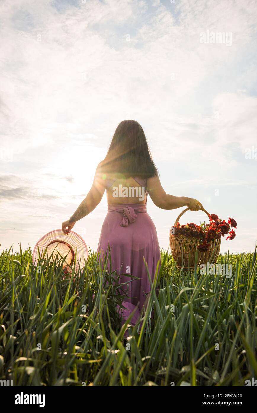 Beautiful girl from the back at the sunset, within a land of green wheat, holding a hat in her left hand and a basket with flowers in her right hand Stock Photo