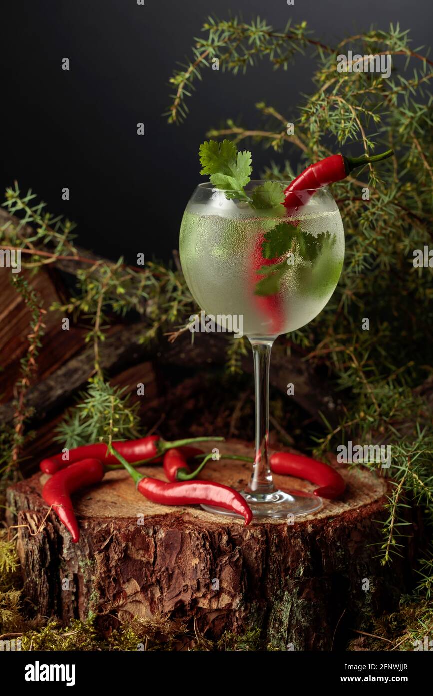 Gin and Tonic cocktail with red pepper and coriander. A cold iced  refreshing drink in a frozen glass Stock Photo - Alamy