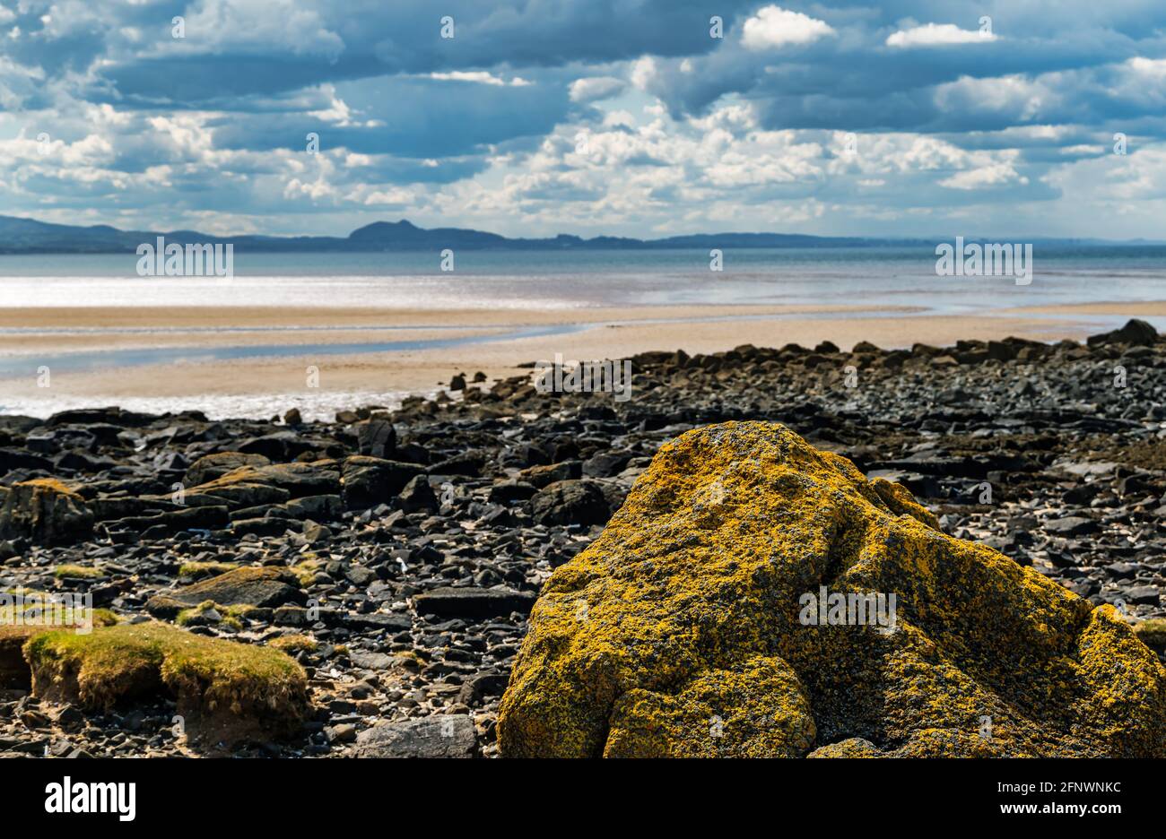 Rocky shore at low tide on Firth of Forth coastline with distinctive Edinburgh skyline, East Lothian, Scotland, UK Stock Photo