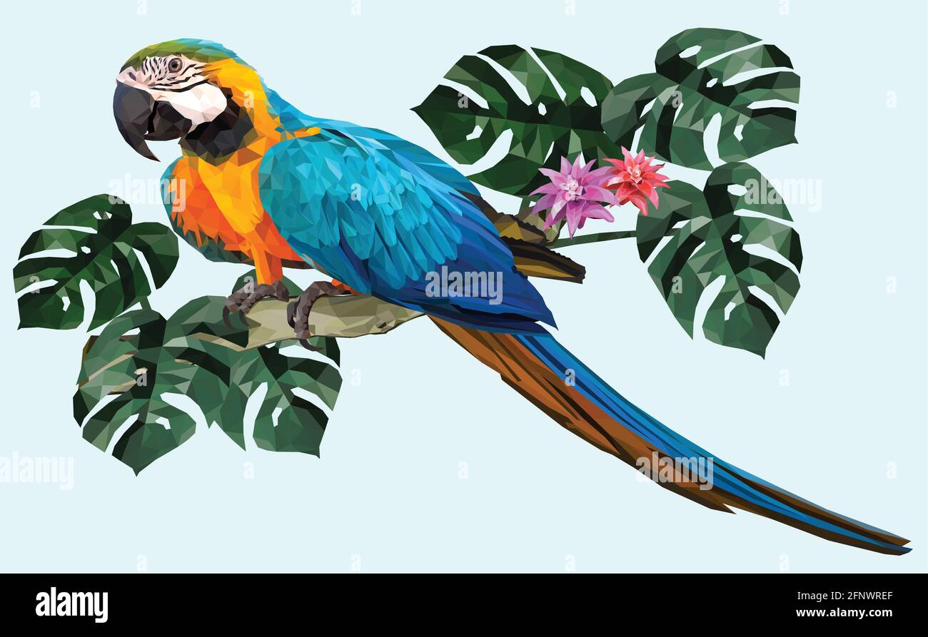 Polygonal Illustration Macaw bird with Amazon forest leafs. Stock Vector