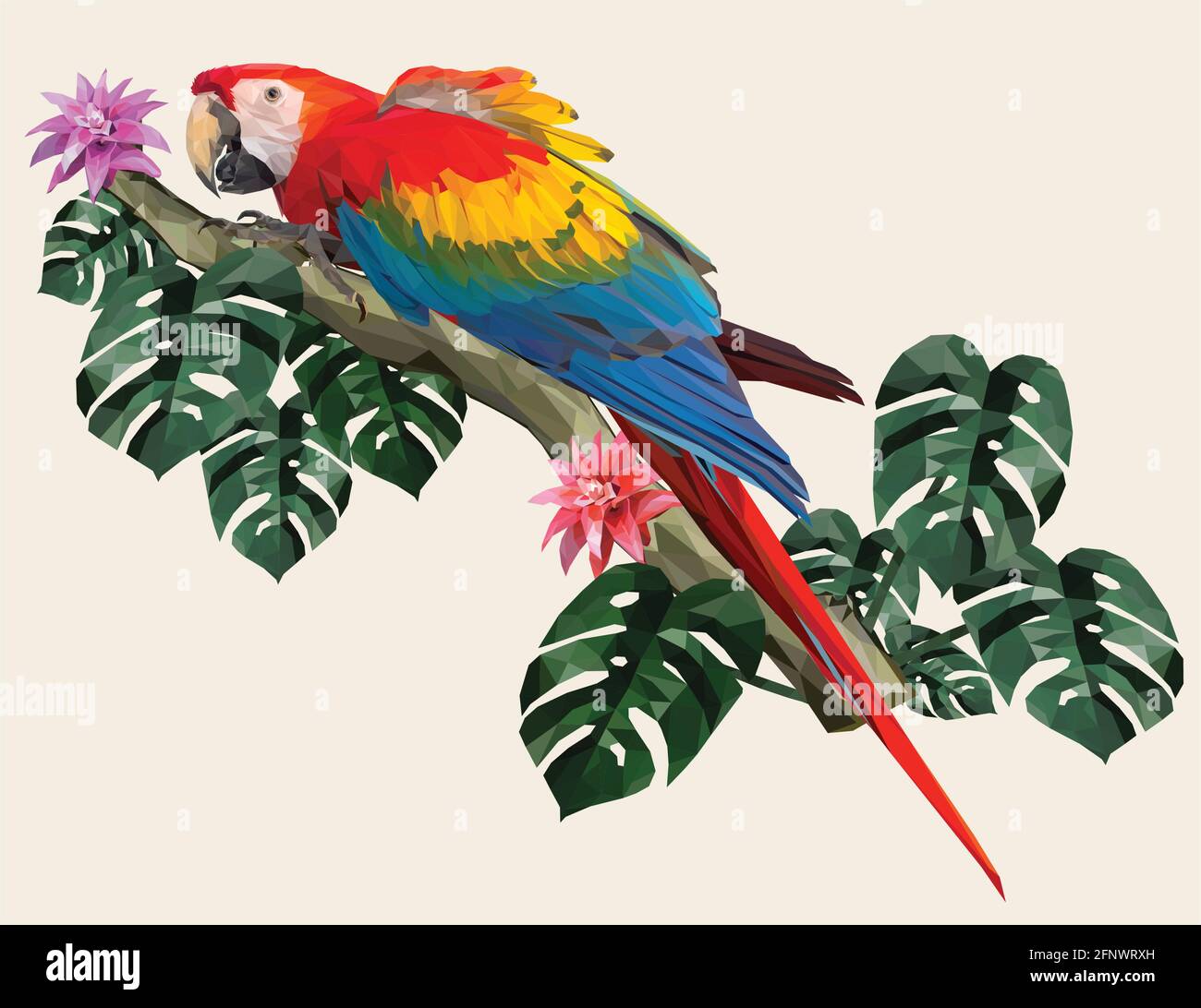 Polygonal Illustration Macaw bird with Amazon forest leafs. Stock Vector