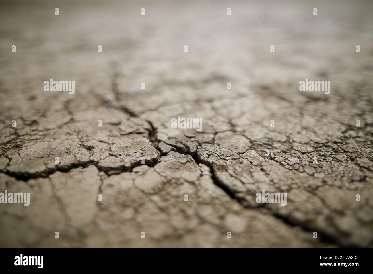 Shallow depth of field (selective focus) details with scorched earth under the strong sun of a summer day - drought. Stock Photo