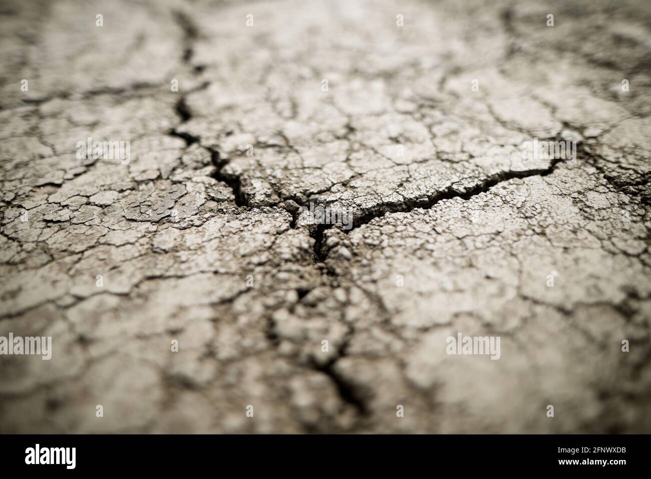 Shallow depth of field (selective focus) details with scorched earth under the strong sun of a summer day - drought. Stock Photo