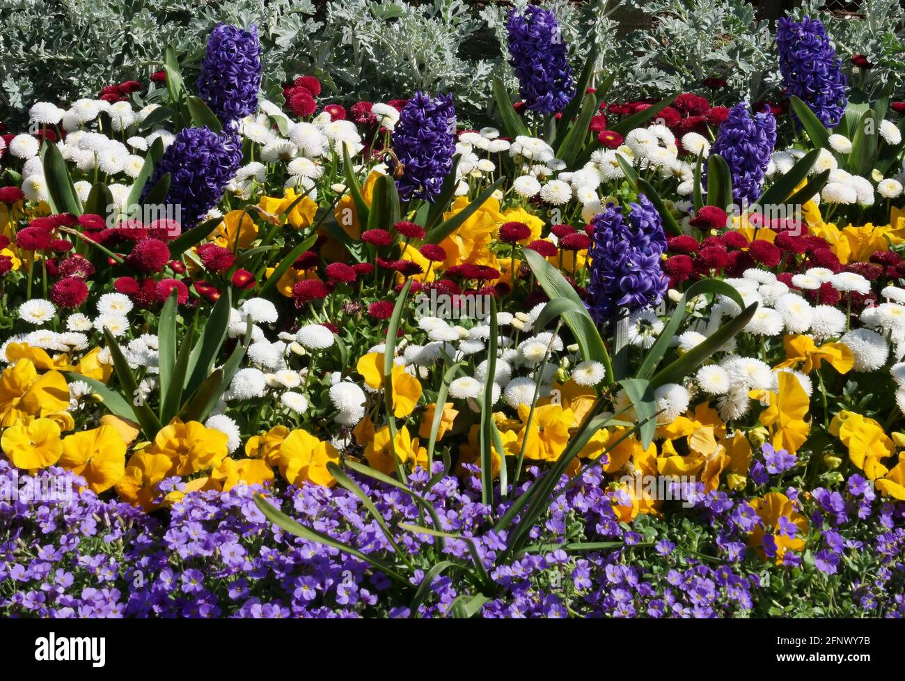 Bedding Plants Klarna at David Woll blog