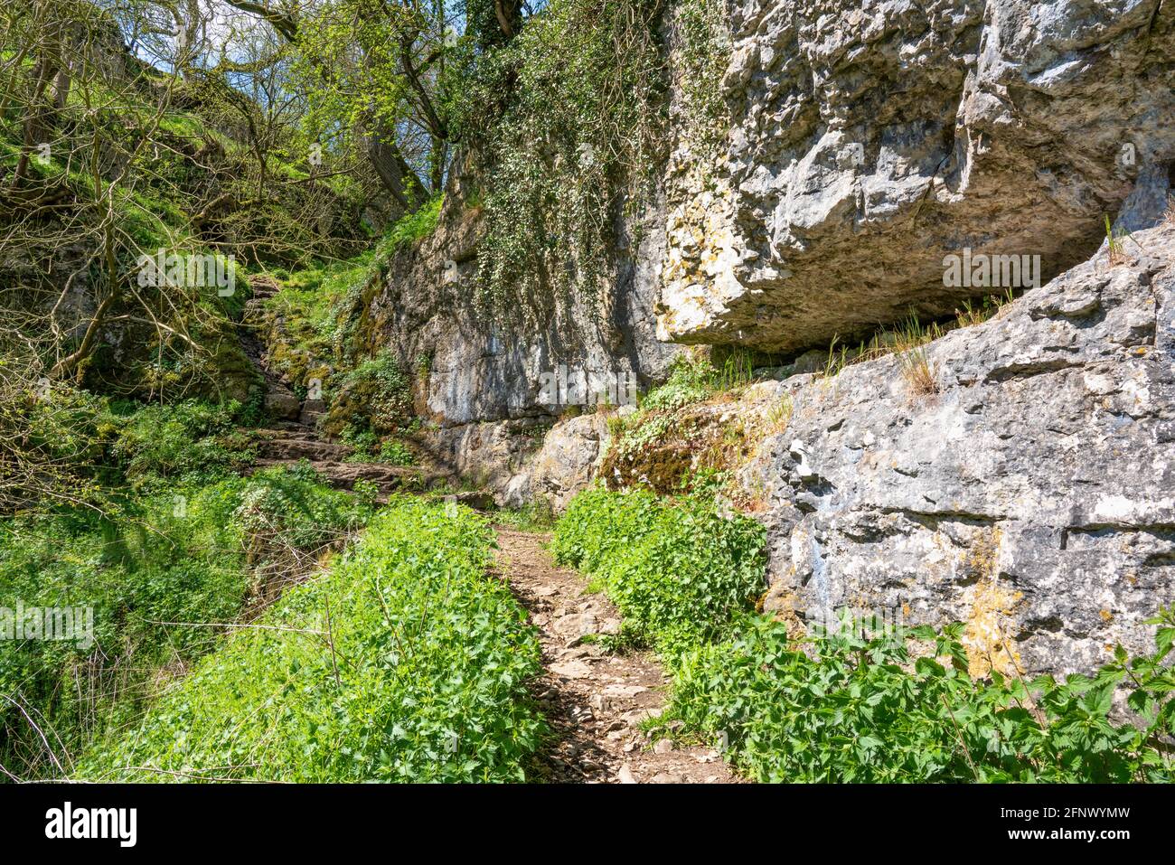 The steep path on the Limestone Way out of Cales Dale above Lathkill Dale in the Derbyshire Peak District UK Stock Photo