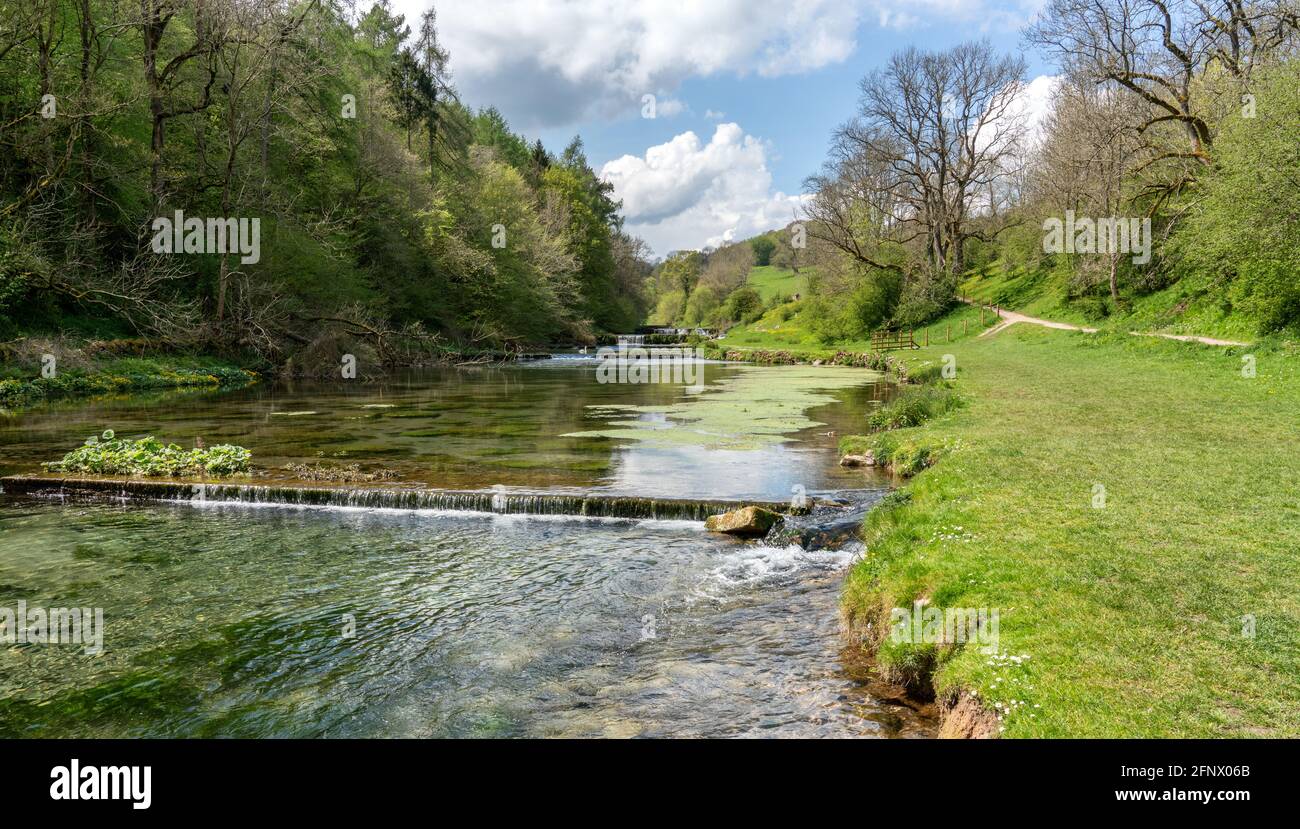 Water meads weirs and trout pools along the lower reaches of Lathkill Dale in the Derbyshire Peak District UK Stock Photo