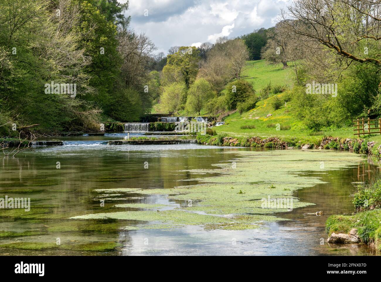 Water meads weirs and trout pools along the lower reaches of Lathkill Dale in the Derbyshire Peak District UK Stock Photo